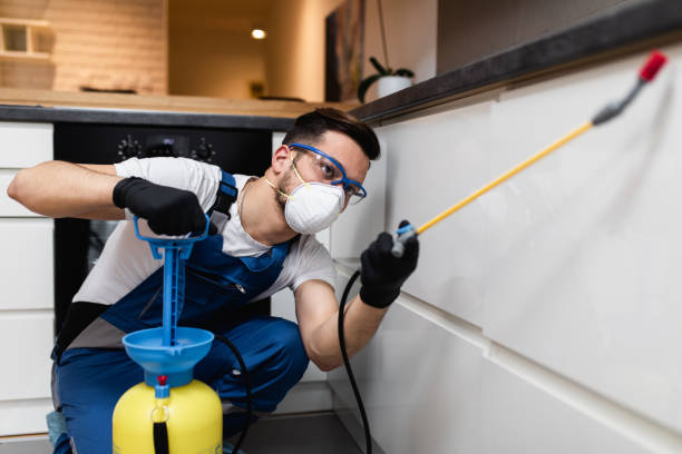 Best Bed Bug Extermination  in Orangeburg, SC