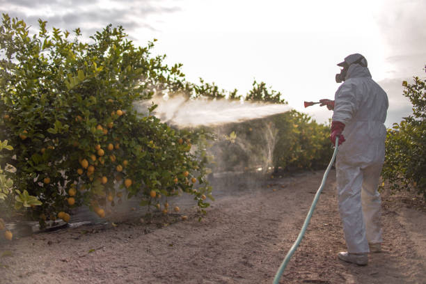 Insect Control in Orangeburg, SC