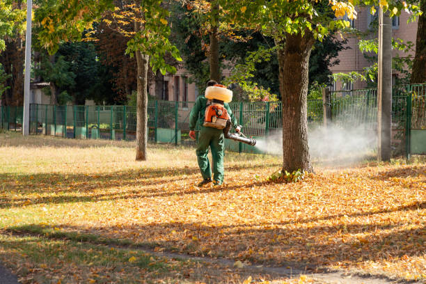 Wildlife Control Services in Orangeburg, SC