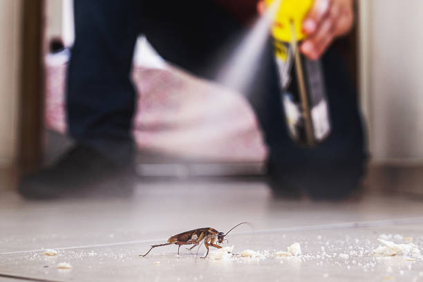 Orangeburg, SC Pest Control Company