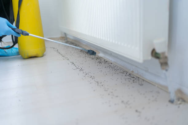 Pest Prevention Services in Orangeburg, SC